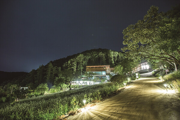 힐리언스 선마을의 밤 풍경