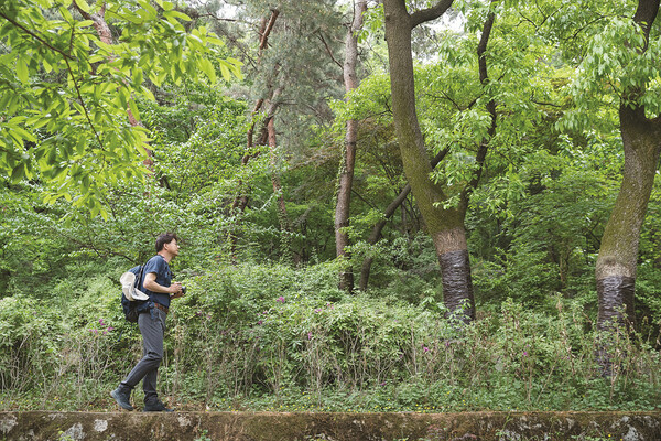 Profile 박대영 •1968년생 •SBS 방송기자
