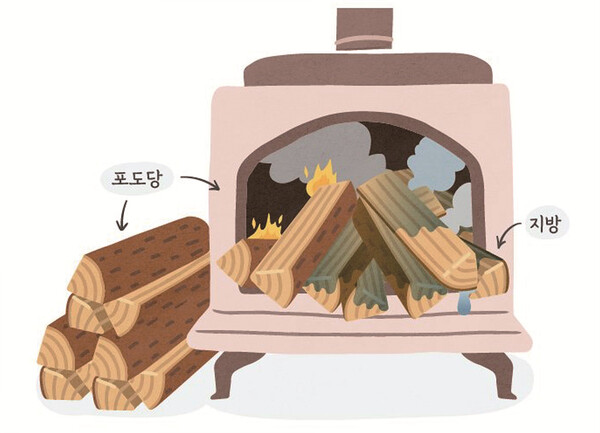 대사유연성이 활성화 되지 않았을 때