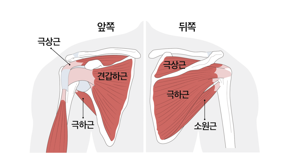 더블에스플라이 이미지
