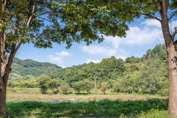 ⓒhu_pyeong_camping