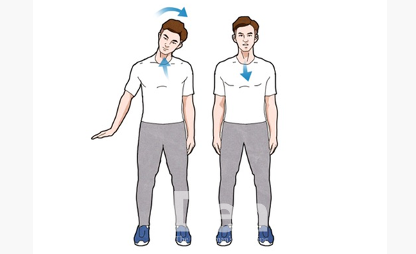 ① 숨을 천천히 들이마시면서 고개를 오른쪽 옆으로 기울인다.&nbsp;이때 어깨가 따라 올라가지 않도록 주의한다.<br><br>​​​​​​​②&nbsp;숨을 천천히 내쉬면서 원래 자세로 돌아온다.&nbsp;반대쪽도 같은 동작을 반복한다.