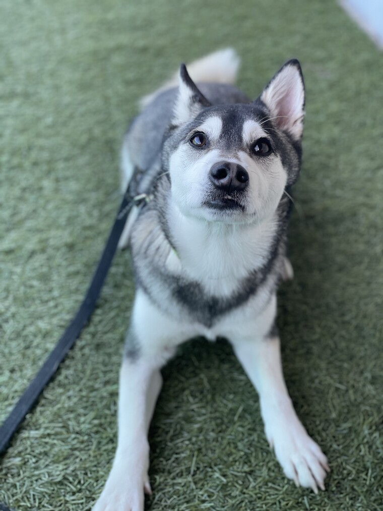 찌니 ⓒ 알고보니혼수상태<br>