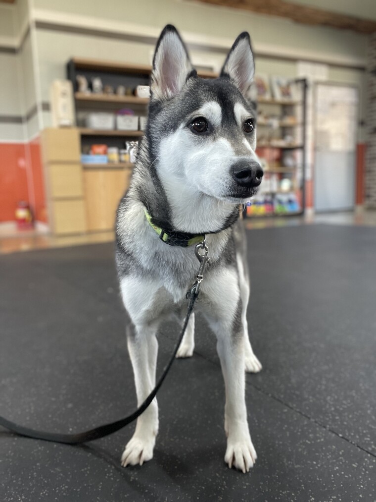 찌니 ⓒ 알고보니혼수상태<br>