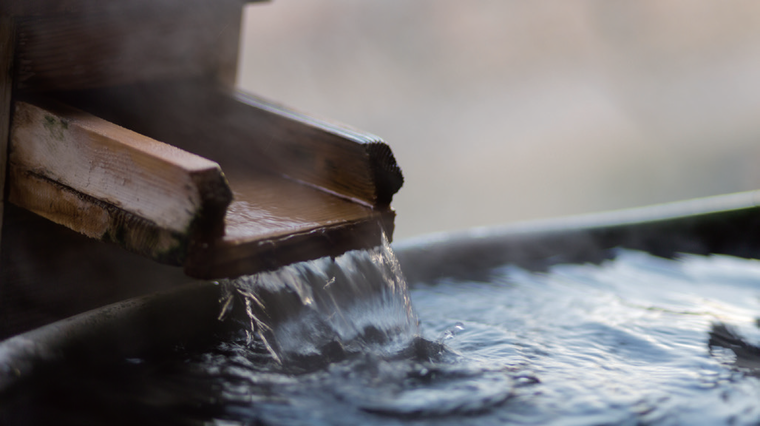 ⓒ shutterstock<br>