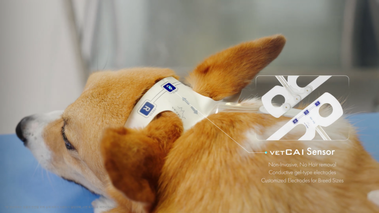 반려동물의 마취 상태를 실시간으로 확인하는 브레인유의 VET CAI. ©BrainU 유튜브