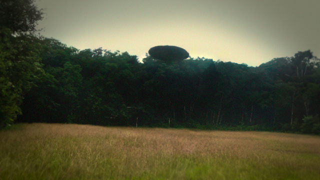 ⓒ 넷플릭스<br>