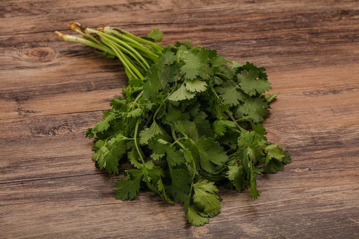 ⓒgettyimagesbank<br>