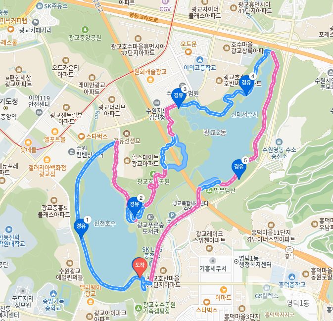 카카오맵 지도 캡처