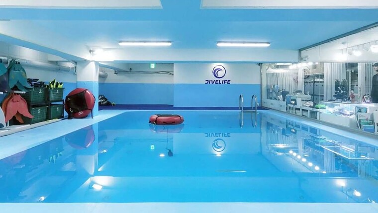 ©다이브라이프