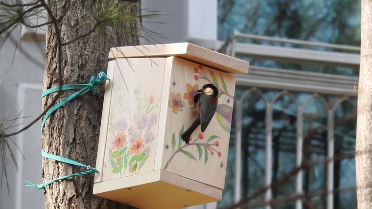 인공새집에 찾아온 곤줄박이. ⓒ박임자<br>